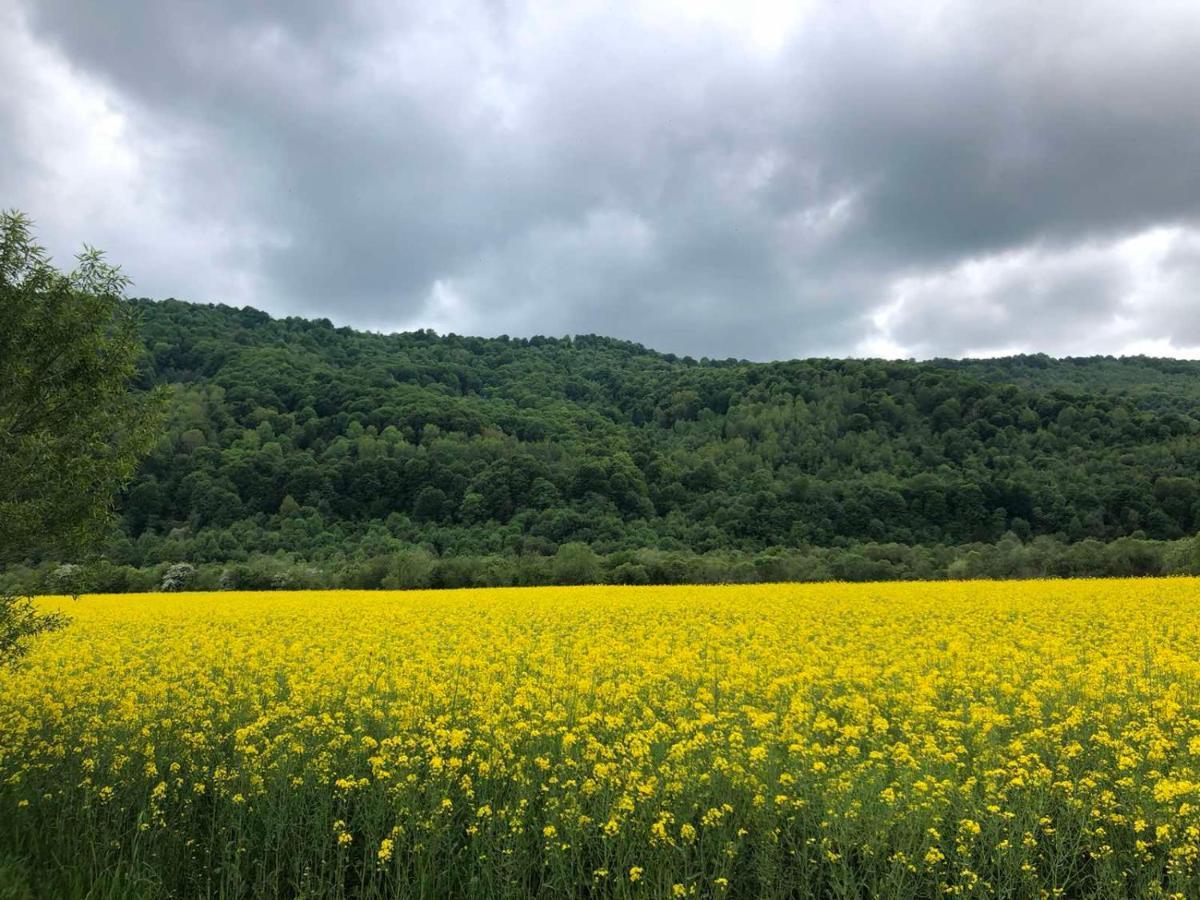 Апартаменти Олівія Skhidnytsia Kültér fotó