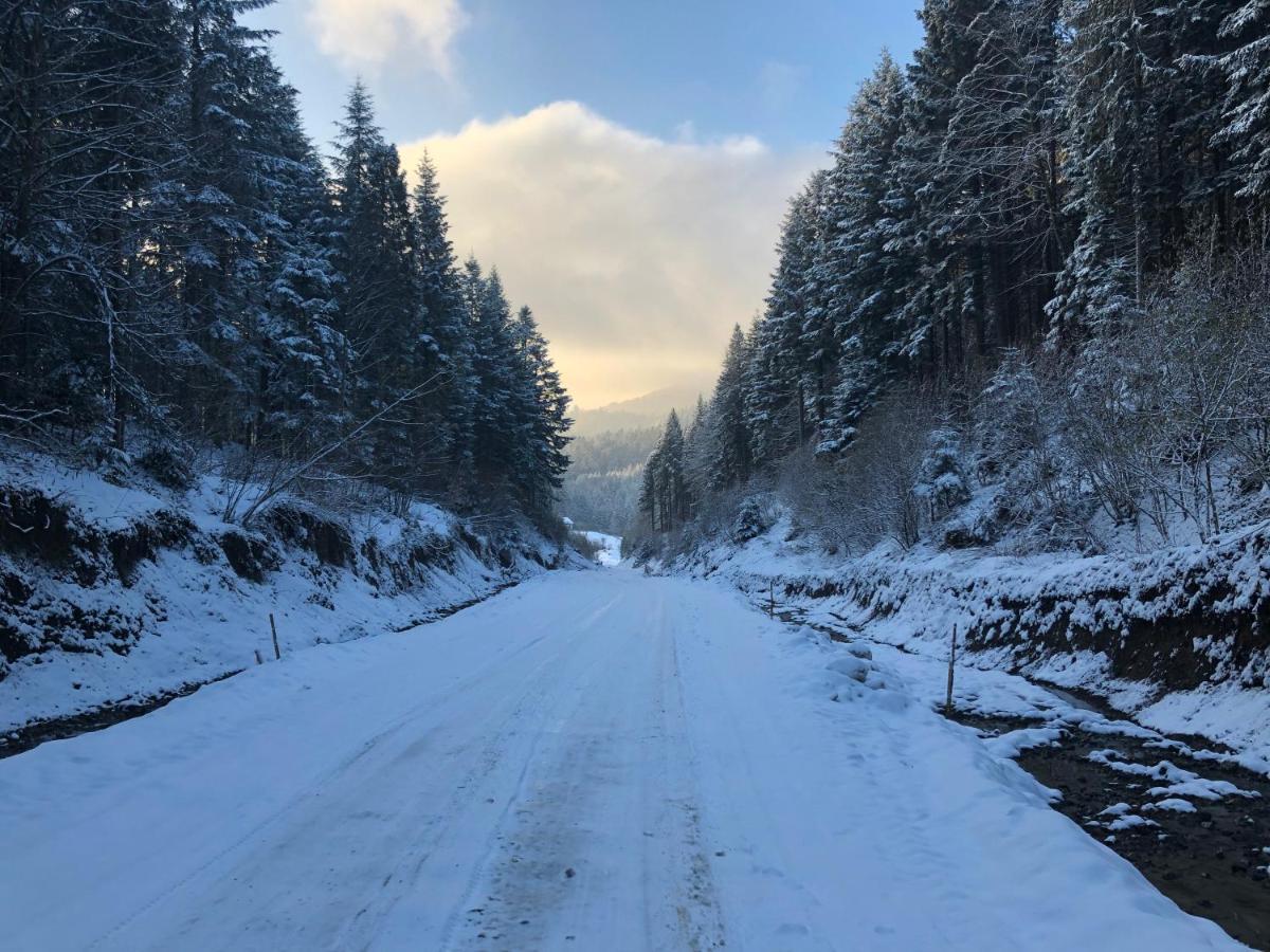 Апартаменти Олівія Skhidnytsia Kültér fotó